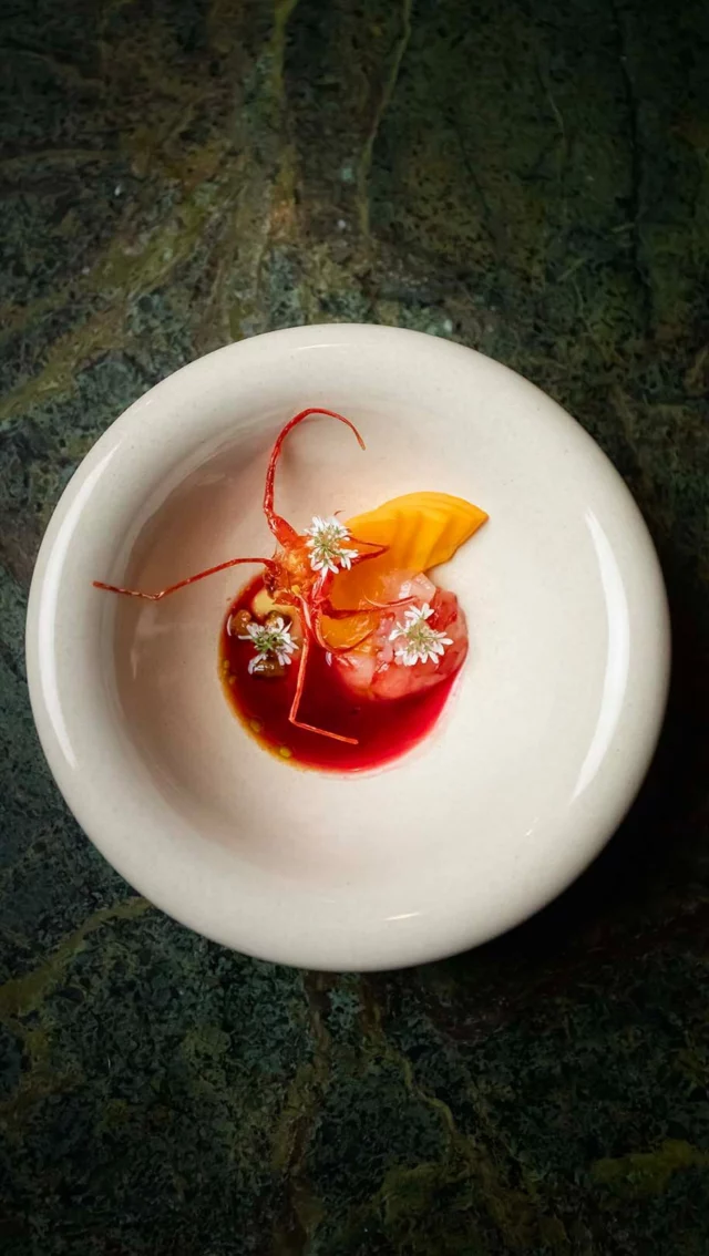 // La Bohème: scarlet shrimp, pistachio, apricot and plum. From the new 100 Maneiras’ menu.

#100maneiras #tastingmenu #ljubomirstanisic #manuelmaldonado #lisbonrestaurants #bairroalto #visitlisbon

📷 @fabrice.demoulin.photo